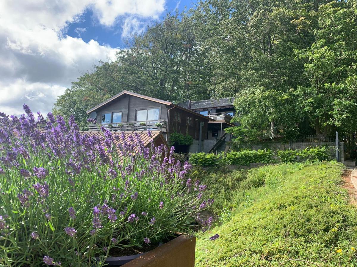 Chalet De La Sabliere Amougies Exterior foto